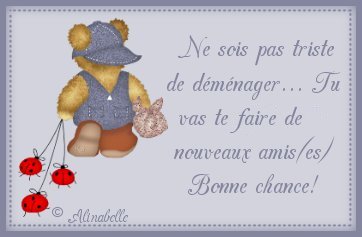 suite et fin de ma vie... enfin pas encore la fin^^